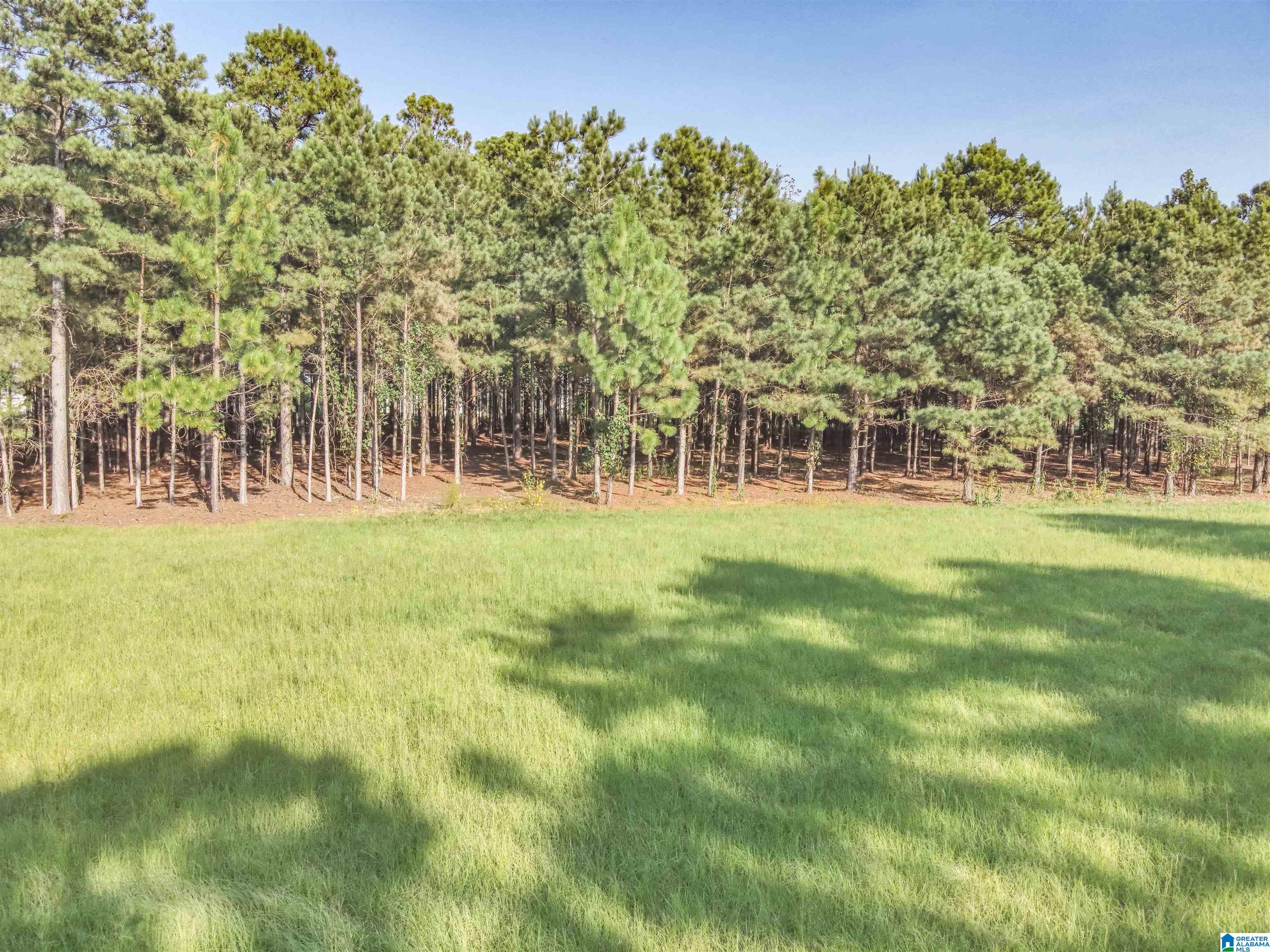 0 County Road 48, Unit 1 Jemison, AL 35085 - Photo 23 of 24