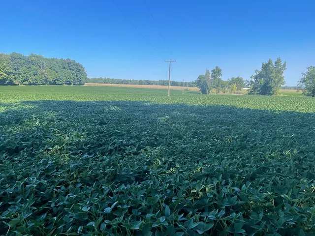 $375,000 | 130 Osborn Road, Bronson, MI 49028