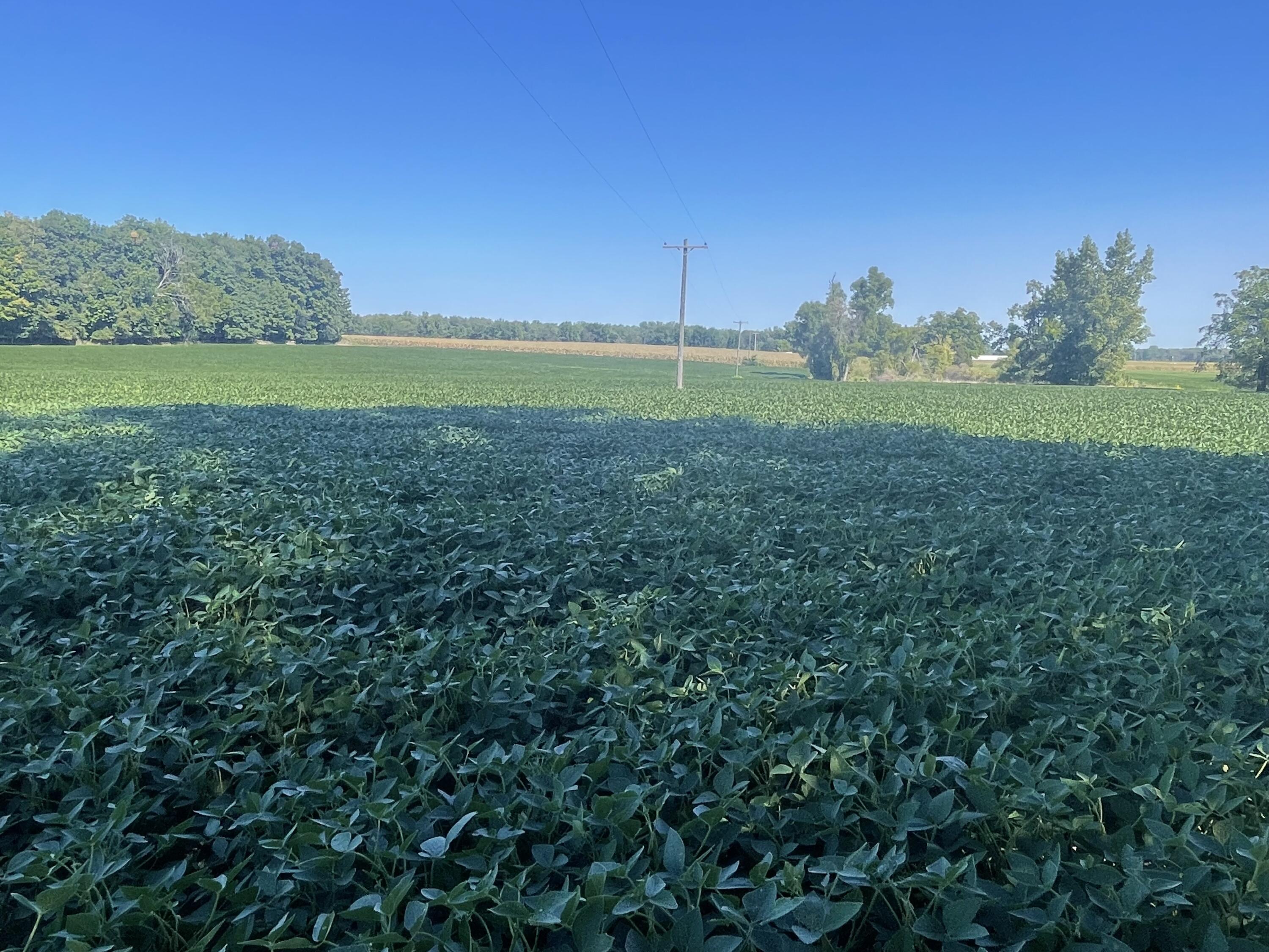 130 Osborn Road Bronson, MI 49028 - Photo 2 of 8 IMG_0102