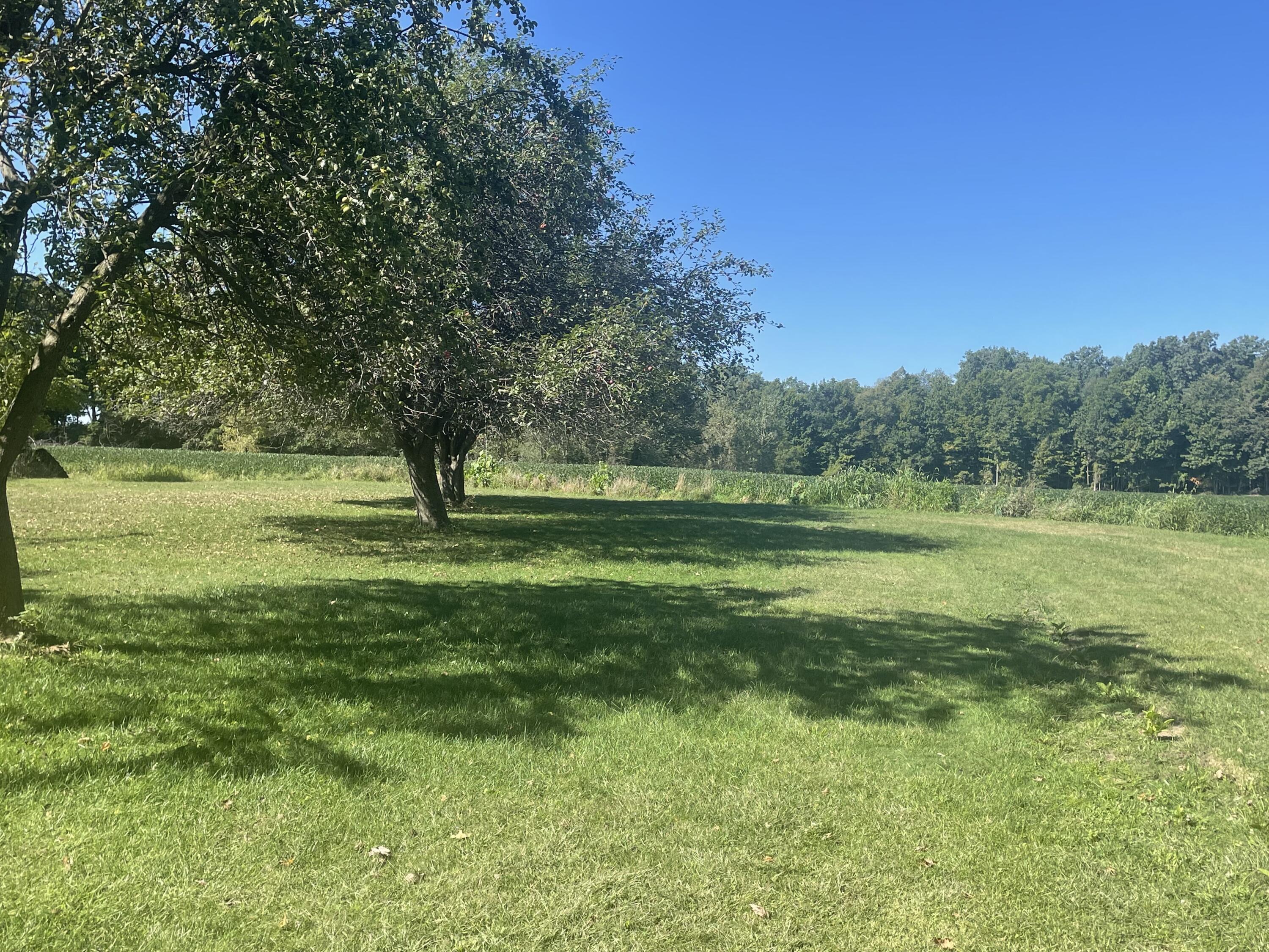 130 Osborn Road Bronson, MI 49028 - Photo 7 of 8 IMG_0097