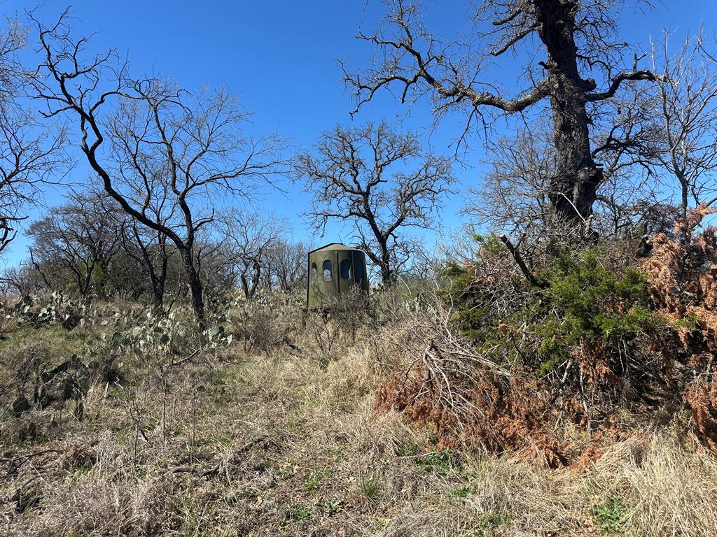 0 Fly Gap County Road Pontotoc, TX 76869 - Photo 1 of 14 Main View
