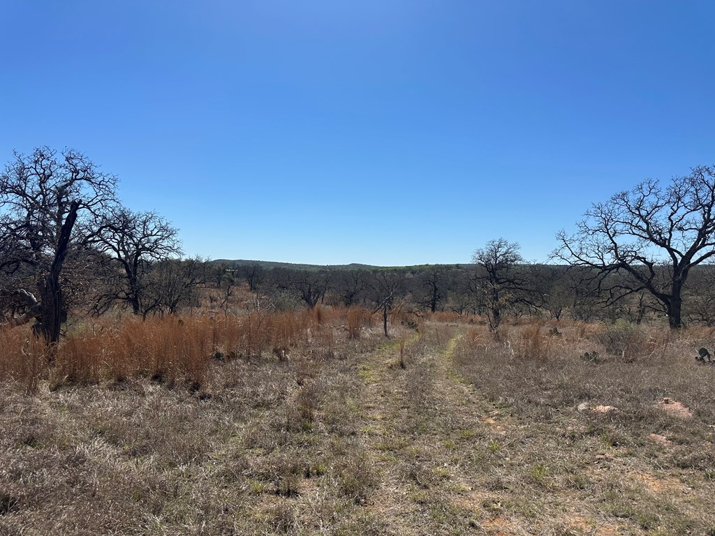 0 Fly Gap County Road Pontotoc, TX 76869 - Photo 11 of 14