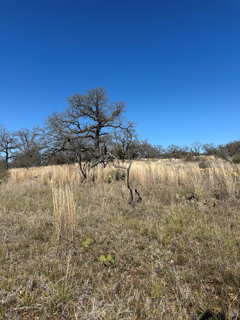 0 Fly Gap County Road Pontotoc, TX 76869 - Photo 13 of 14