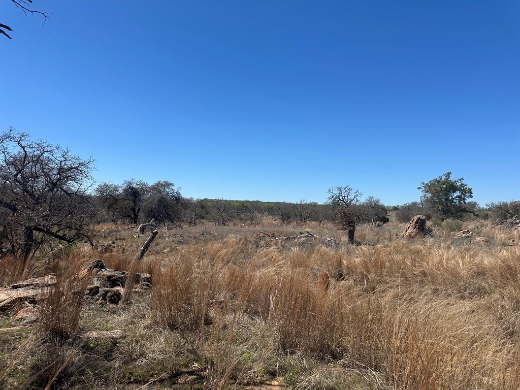 0 Fly Gap County Road Pontotoc, TX 76869 - Photo 3 of 14