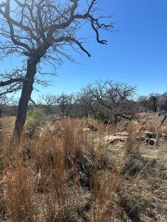 a view of a yard with wooden fence