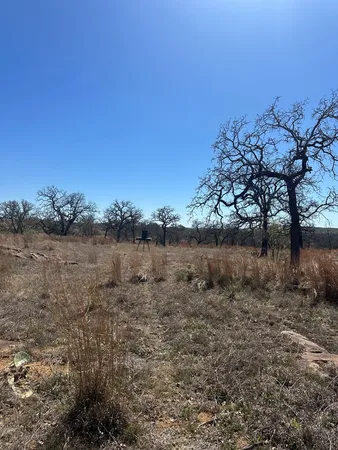 a view of a lake with a mountain in the background