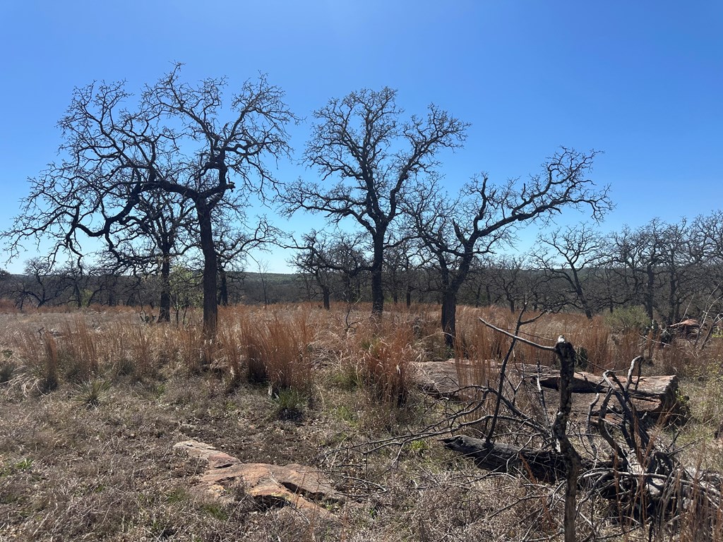 0 Fly Gap County Road Pontotoc, TX 76869 - Photo 10 of 14