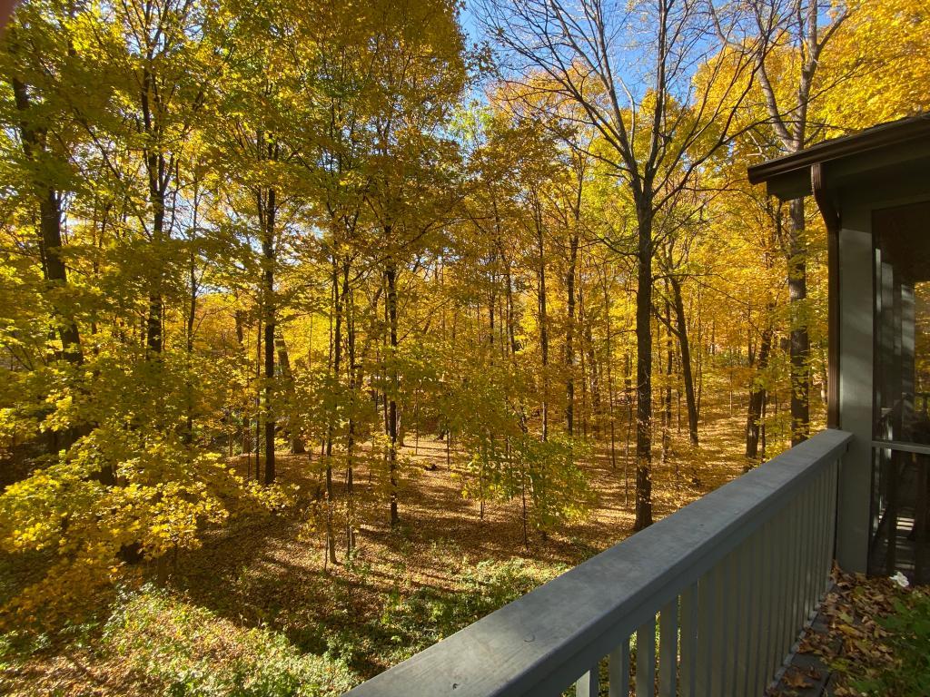 4812 Sparrow Road Minnetonka, MN 55345 - Photo 2 of 24