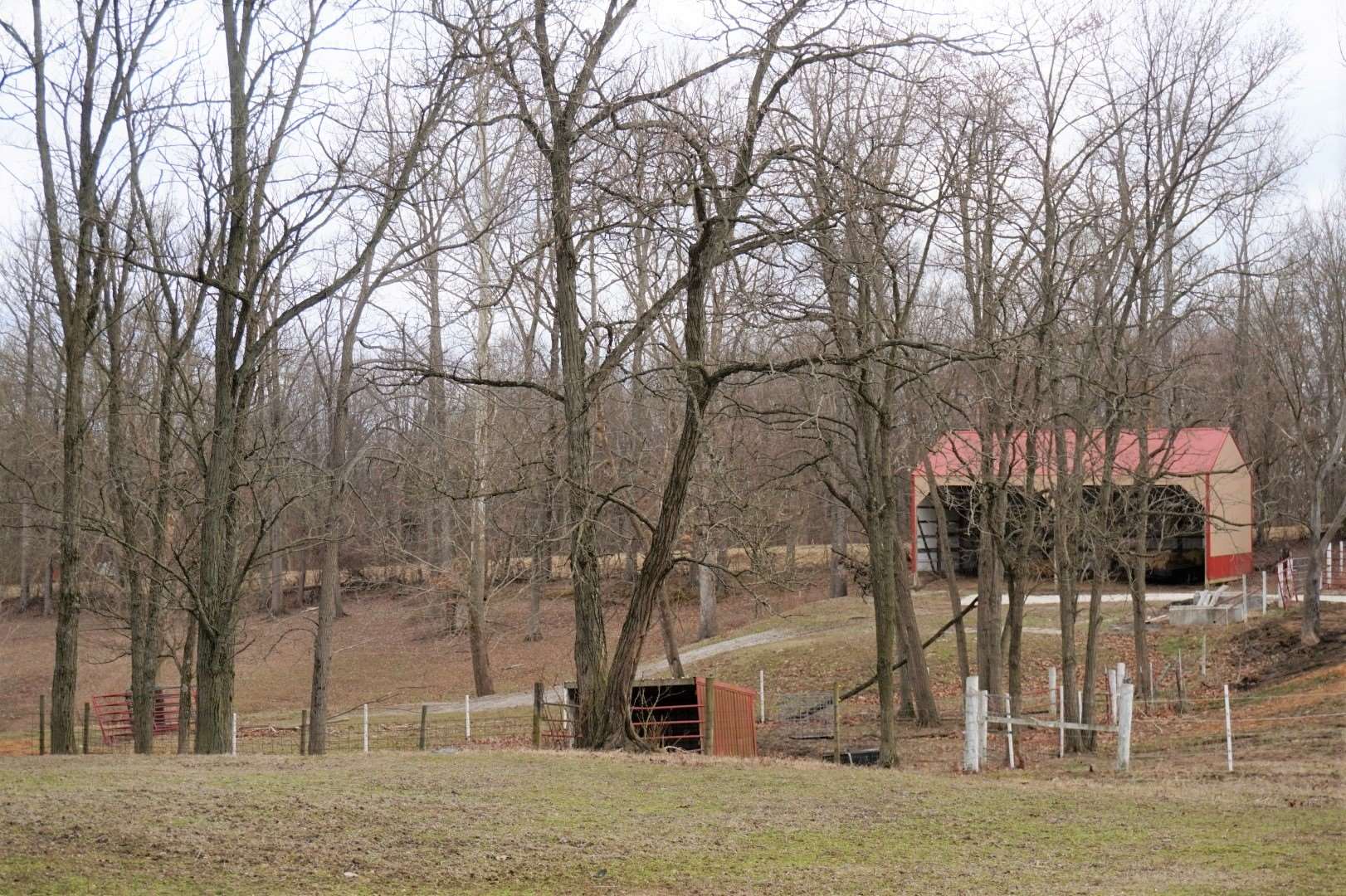 1883 Carithers Road Princeton, IN 47670 - Photo 8 of 31