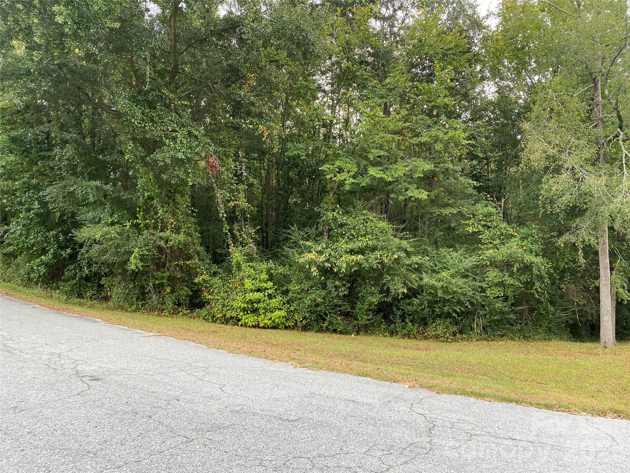 245 Slayton Street Whitmire, SC 29178 - Photo 1 of 6 Gallery Image 1