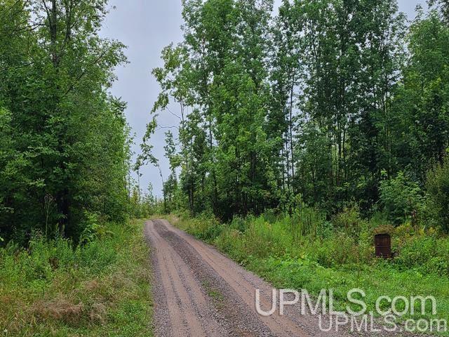 Tbd Bates-Amasa Road Iron River, MI 49935 - Photo 3 of 12