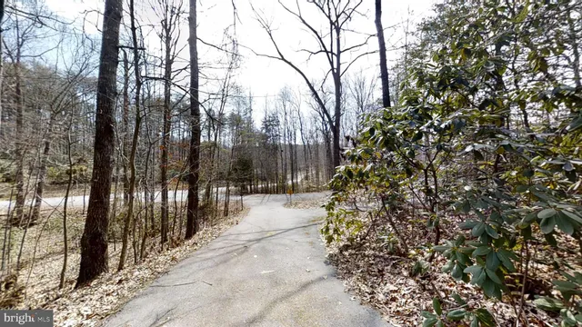 a view of backyard space