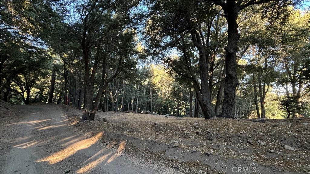 722 Mojave River Road Cedarpines Park, CA 92322 - Photo 1 of 13 Red boundary lines on pictures are an estimate and for marketing purposes only. Buyer to verify all aspects of this property including, but not limited to utilities, assessments, boundaries, usage, access, and zoning to satisfy themselves.