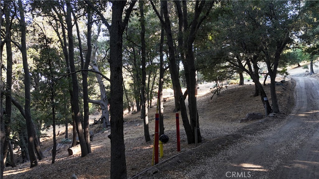 722 Mojave River Road Cedarpines Park, CA 92322 - Photo 4 of 13 Red boundary lines on pictures are an estimate and for marketing purposes only. Buyer to verify all aspects of this property including, but not limited to utilities, assessments, boundaries, usage, access, and zoning to satisfy themselves.