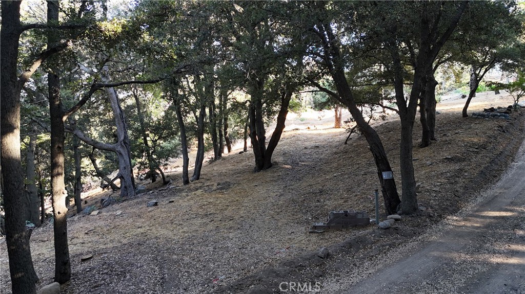 722 Mojave River Road Cedarpines Park, CA 92322 - Photo 5 of 13 Red boundary lines on pictures are an estimate and for marketing purposes only. Buyer to verify all aspects of this property including, but not limited to utilities, assessments, boundaries, usage, access, and zoning to satisfy themselves.