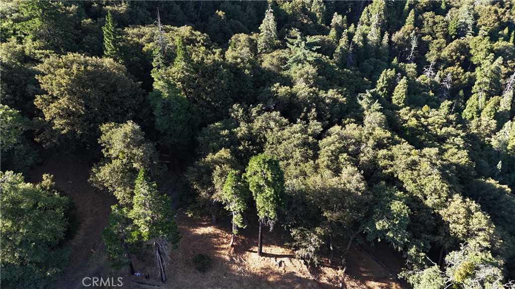 722 Mojave River Road Cedarpines Park, CA 92322 - Photo 6 of 13 Red boundary lines on pictures are an estimate and for marketing purposes only. Buyer to verify all aspects of this property including, but not limited to utilities, assessments, boundaries, usage, access, and zoning to satisfy themselves.