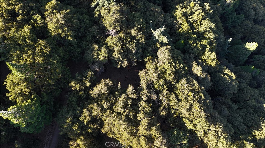 722 Mojave River Road Cedarpines Park, CA 92322 - Photo 7 of 13 Red boundary lines on pictures are an estimate and for marketing purposes only. Buyer to verify all aspects of this property including, but not limited to utilities, assessments, boundaries, usage, access, and zoning to satisfy themselves.