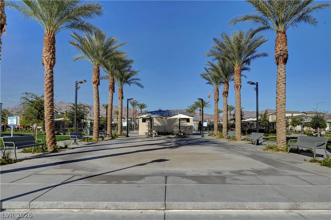 6924 Spicy Merlot Street North Las Vegas, NV 89086 - Photo 73 of 83 Palm-lined walkway leads to a recreational area with mountain views.