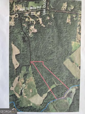 $250,000 | 0 Apt-to-miss Road, Monticello, GA 31064