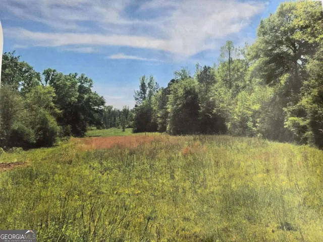 $250,000 | 0 Apt-to-miss Road, Monticello, GA 31064