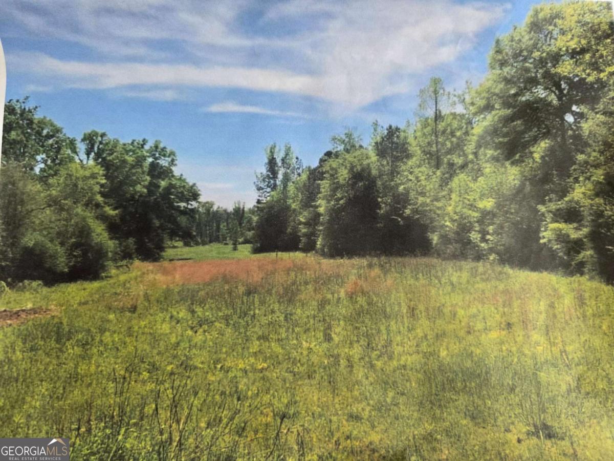 0 Apt-to-miss Road Monticello, GA 31064 - Photo 3 of 7