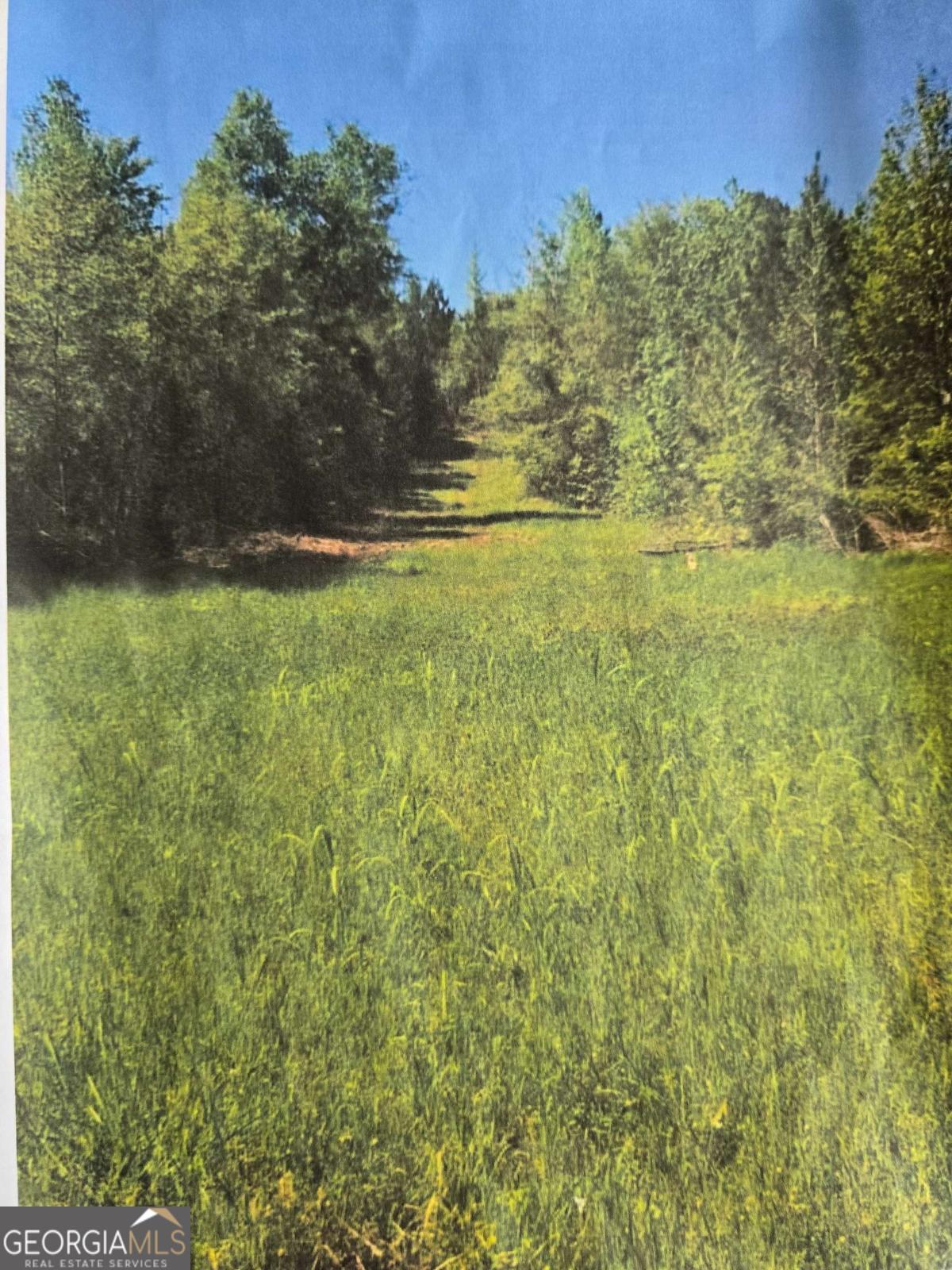 0 Apt-to-miss Road Monticello, GA 31064 - Photo 5 of 7