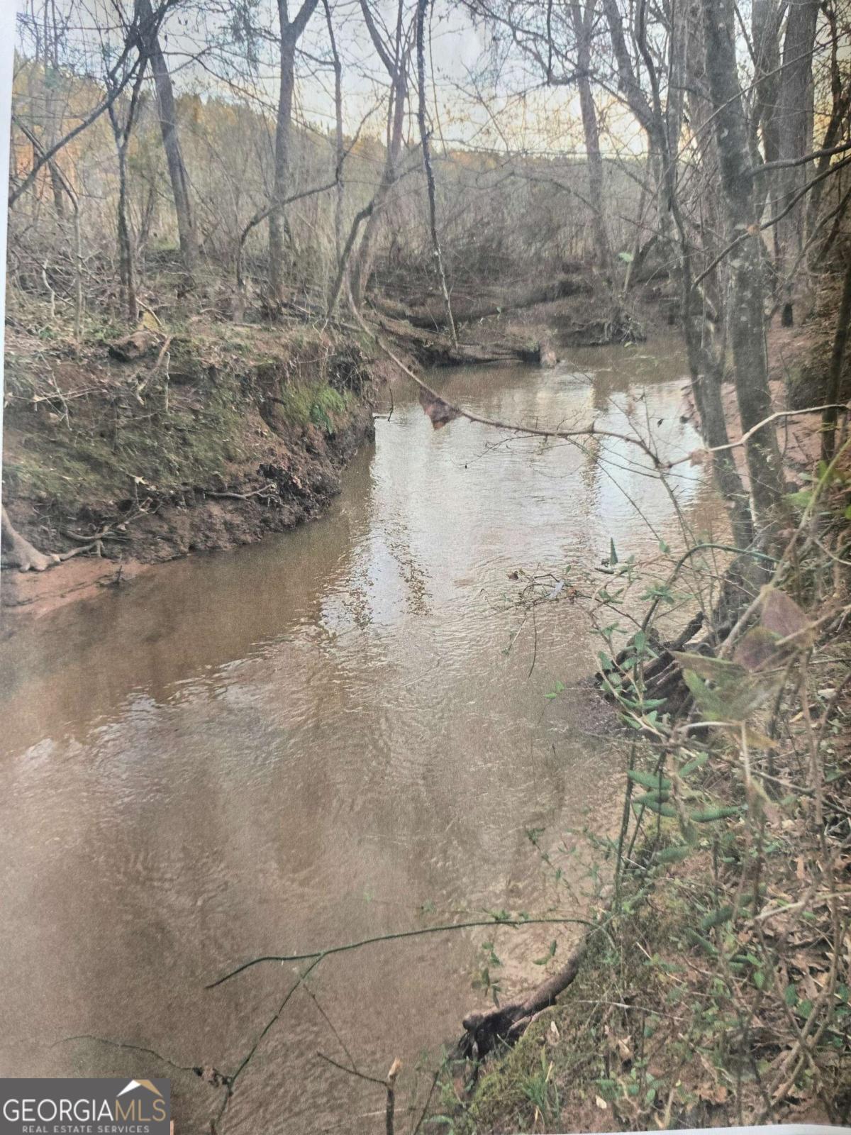 0 Apt-to-miss Road Monticello, GA 31064 - Photo 7 of 7