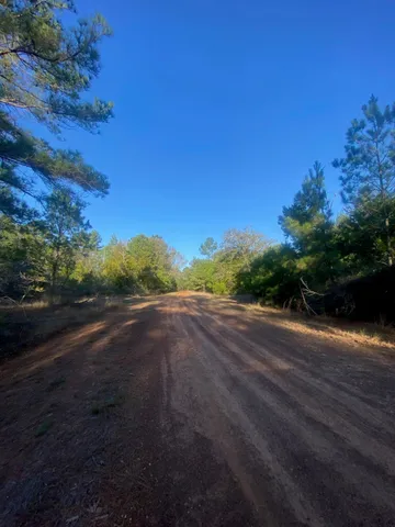 a view of a field with trees in background