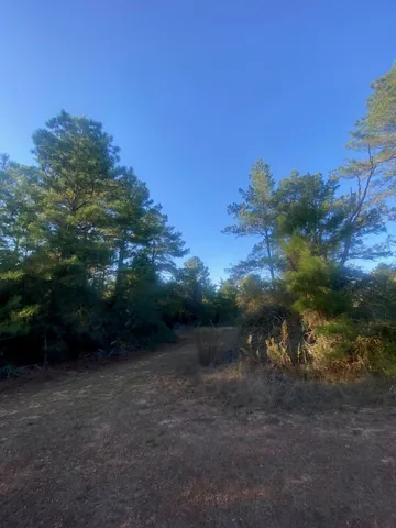 a view of a dry yard with trees