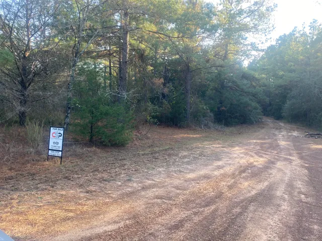 $11,900 | 17922 Deerwood Drive, Hempstead, TX 77445