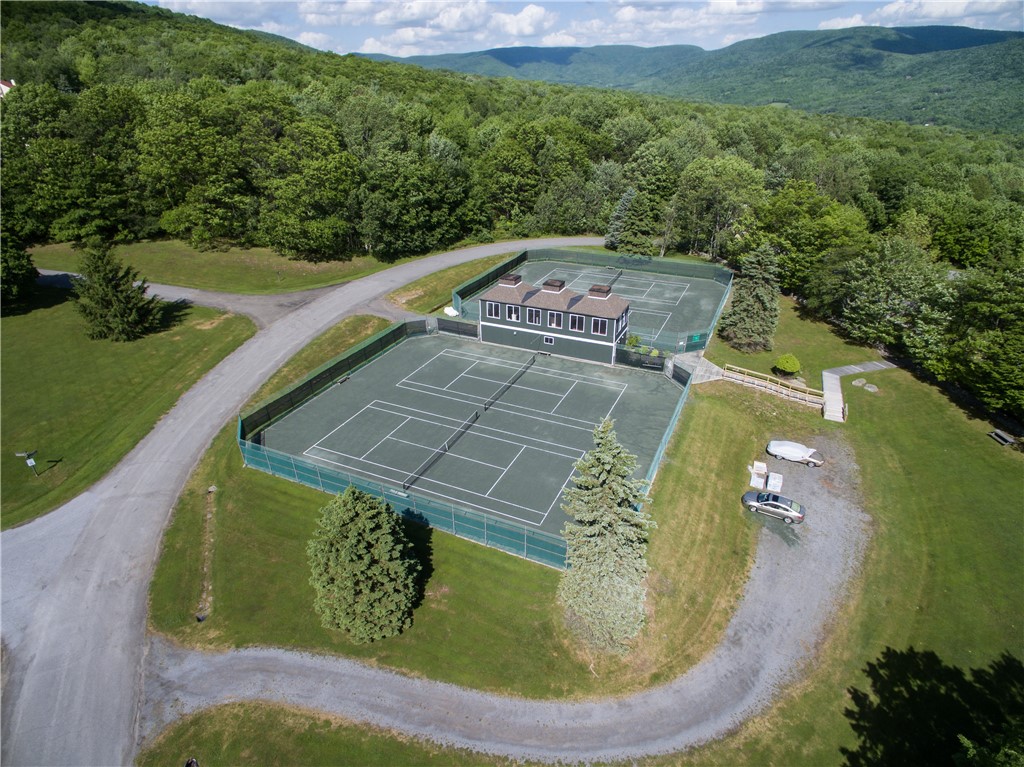 90 Pines Drive, Unit 43 Roxbury, NY 12421 - Photo 36 of 47