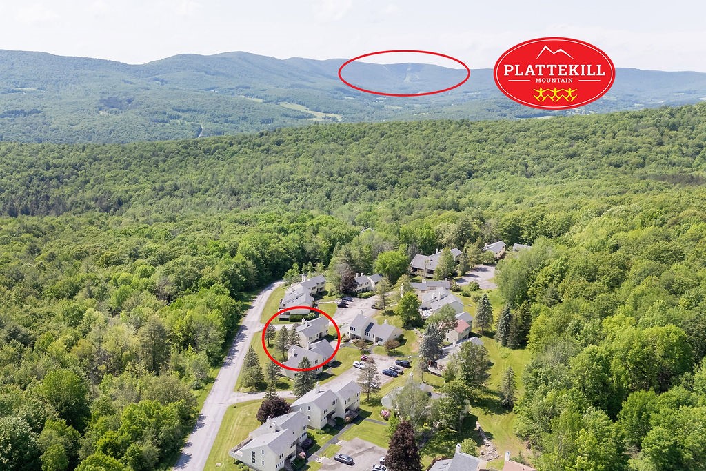 90 Pines Drive, Unit 43 Roxbury, NY 12421 - Photo 43 of 47