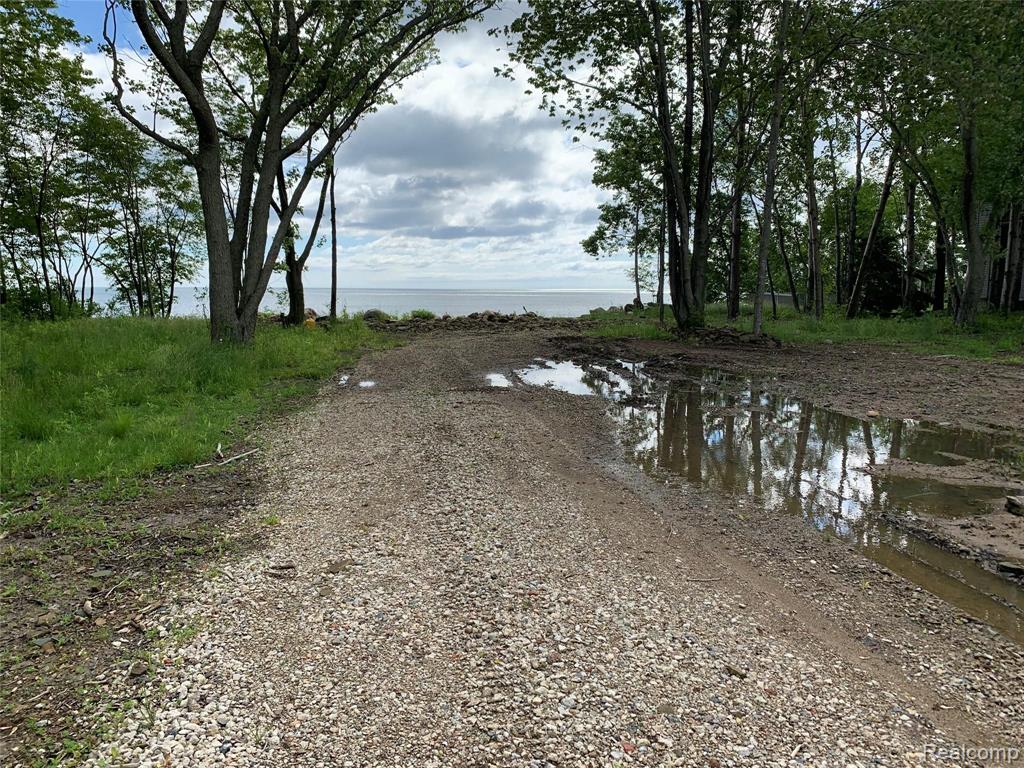 0 Lighthouse Road Port Hope, MI 48468 - Photo 11 of 12