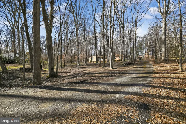 a view of park space