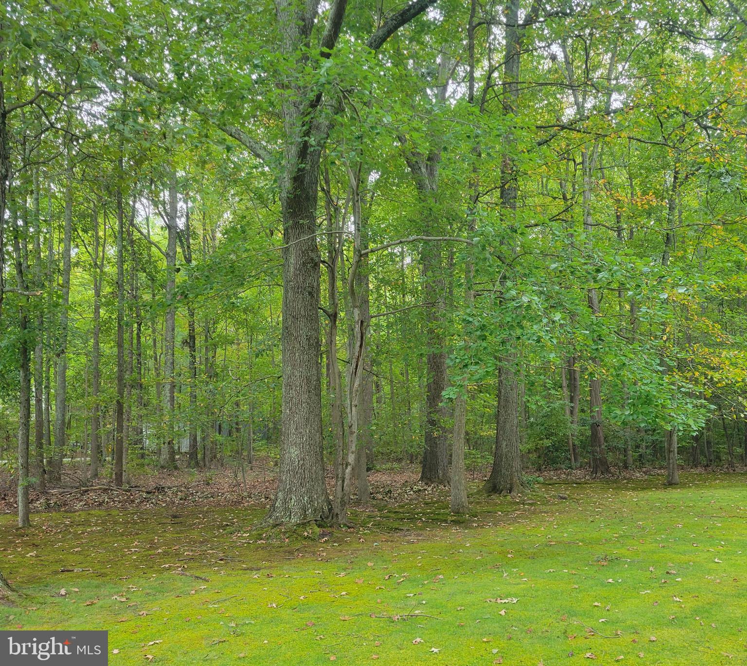 5174 Chalk Point Road West River, MD 20778 - Photo 3 of 17 Picturesque 2 acre lot