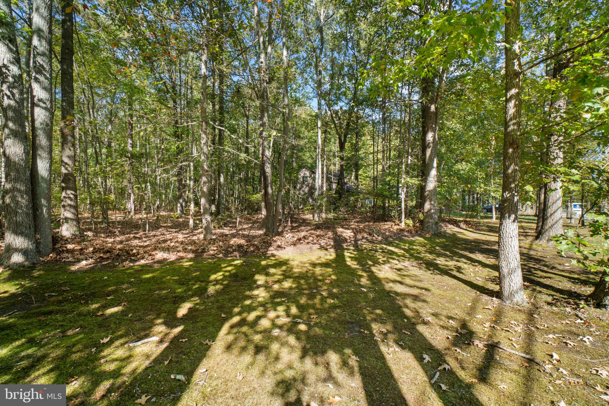 5174 Chalk Point Road West River, MD 20778 - Photo 8 of 17 Stunning 2 acre lot