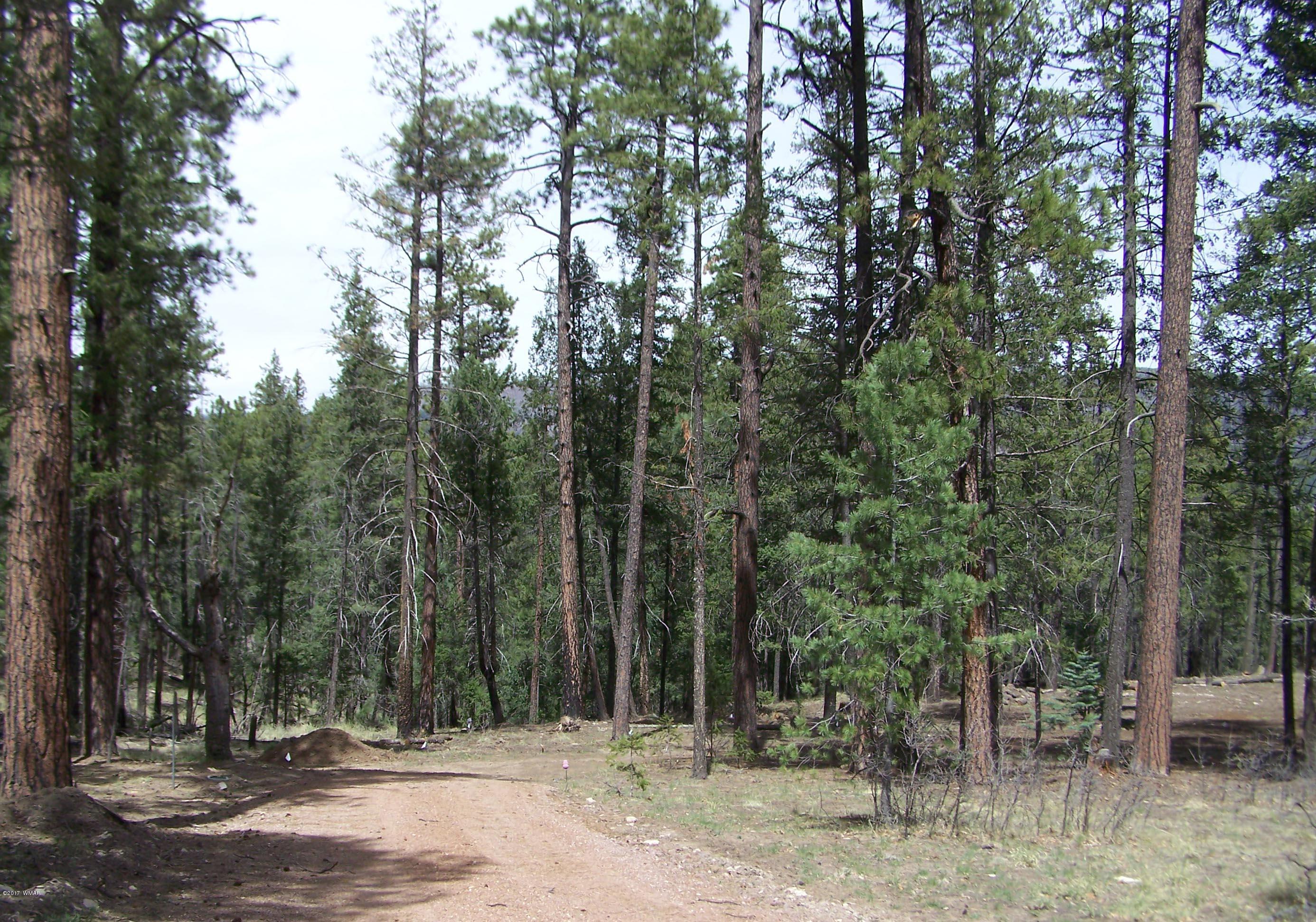 0 County Road Alpine, AZ 85920 - Photo 2 of 8