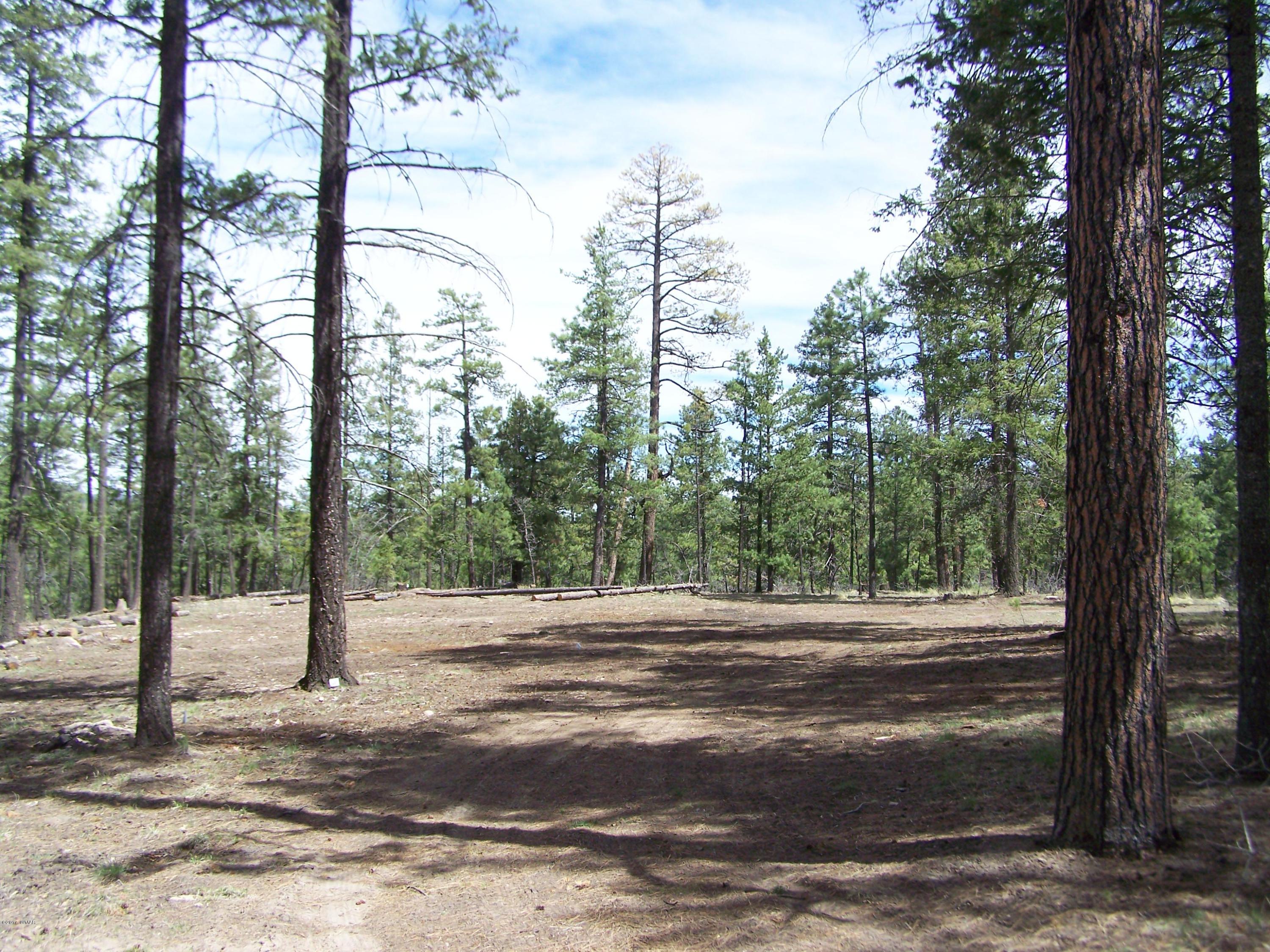 0 County Road Alpine, AZ 85920 - Photo 3 of 8