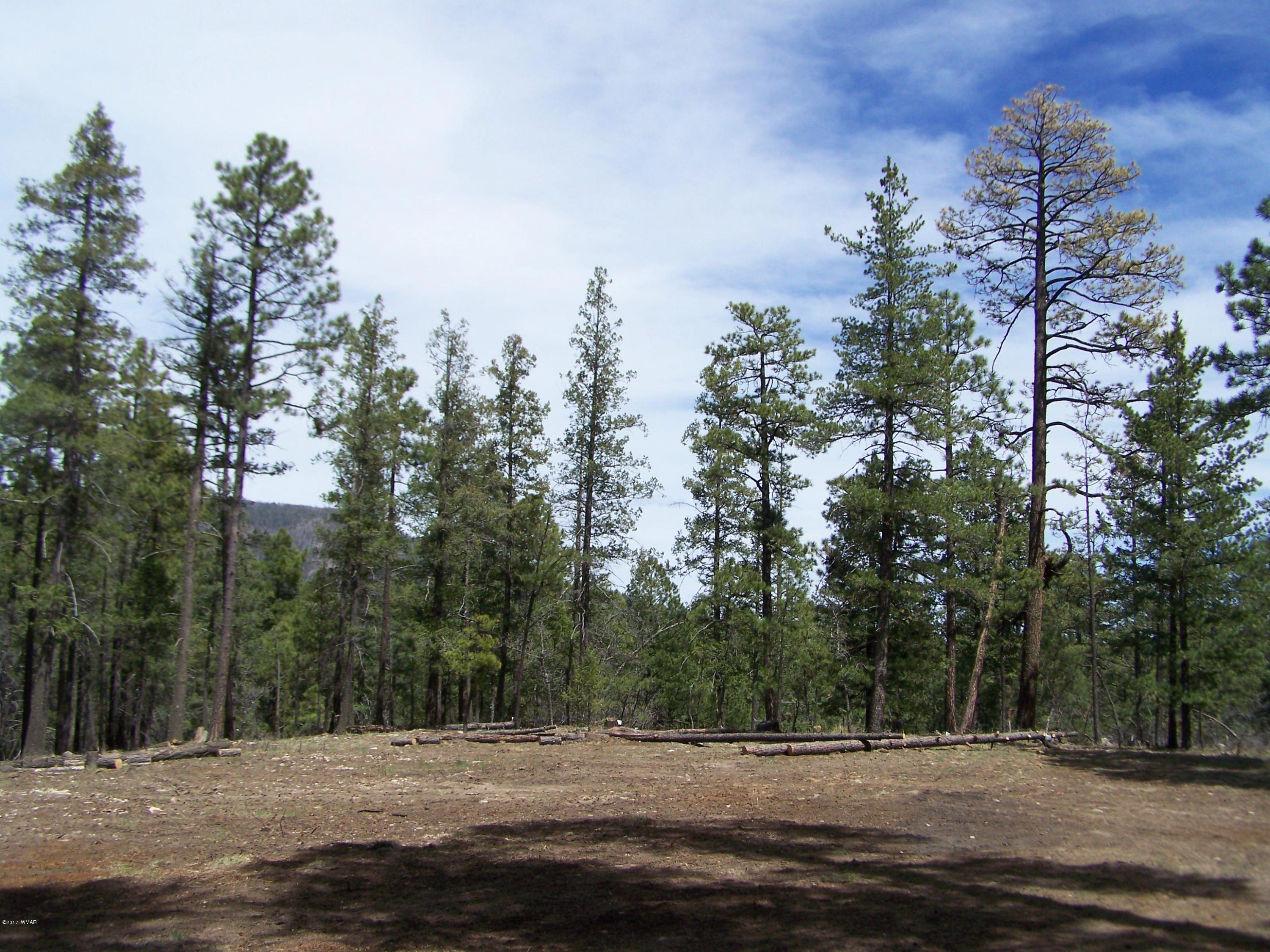 0 County Road Alpine, AZ 85920 - Photo 4 of 8