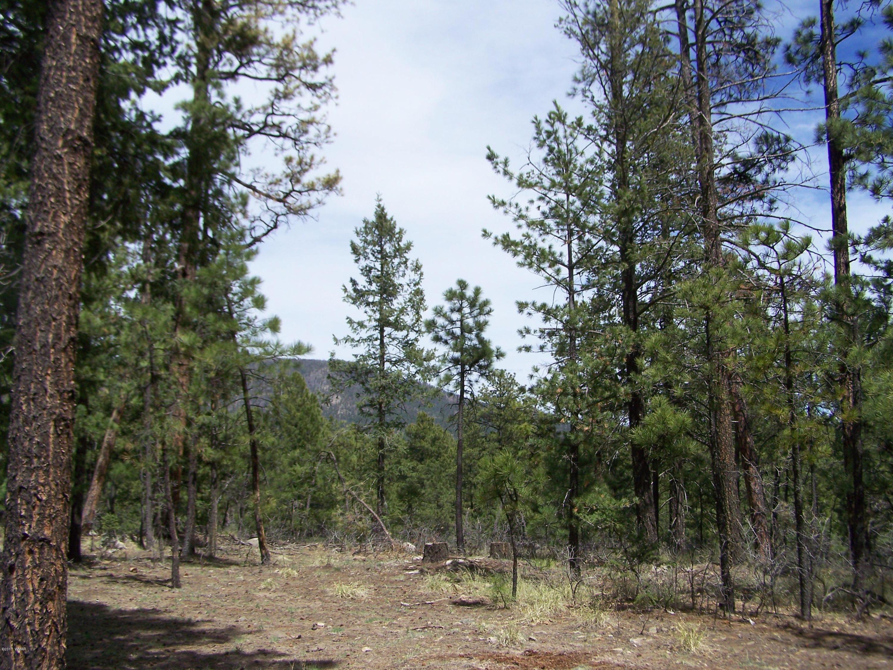 0 County Road Alpine, AZ 85920 - Photo 6 of 8