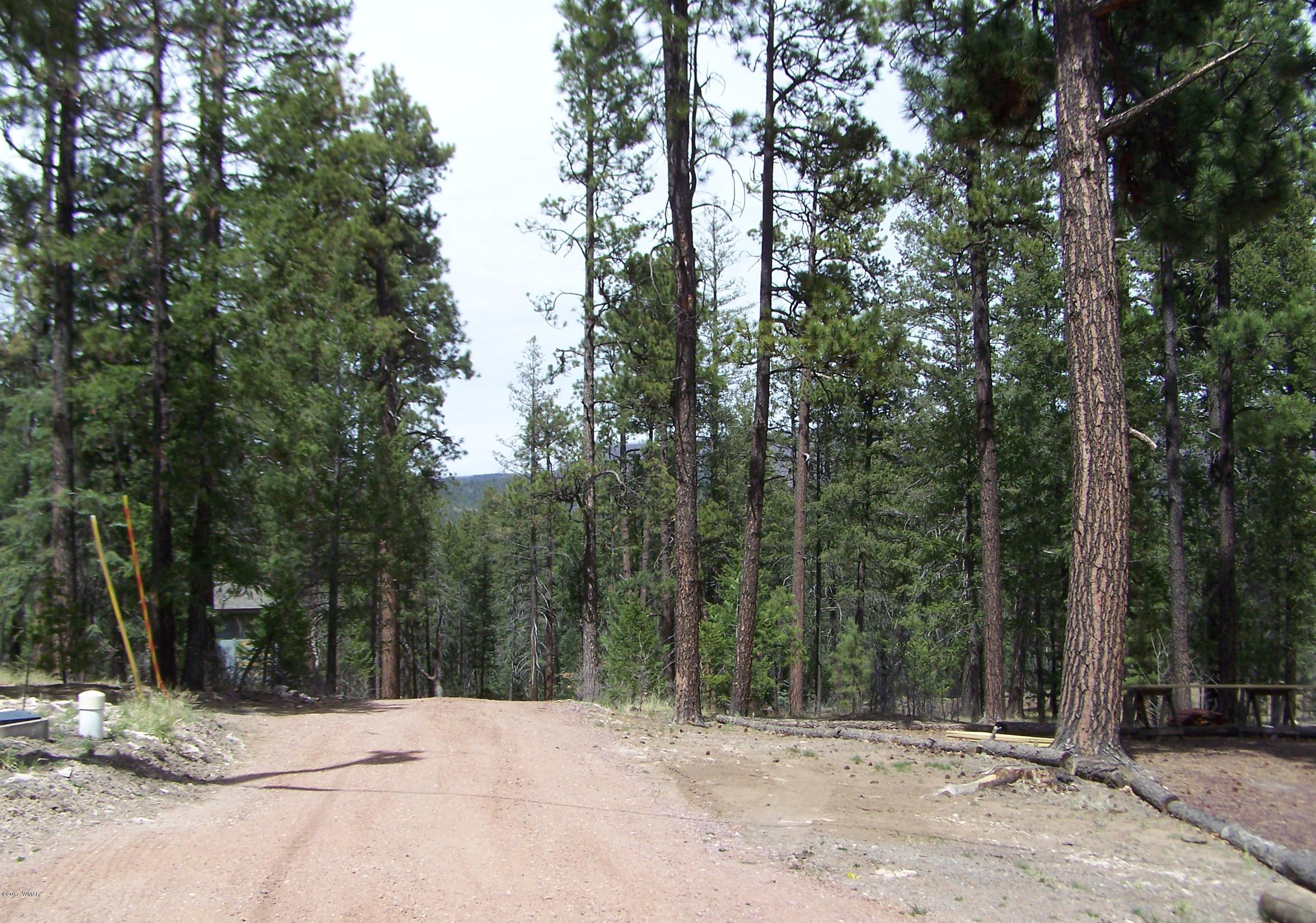 0 County Road Alpine, AZ 85920 - Photo 7 of 8