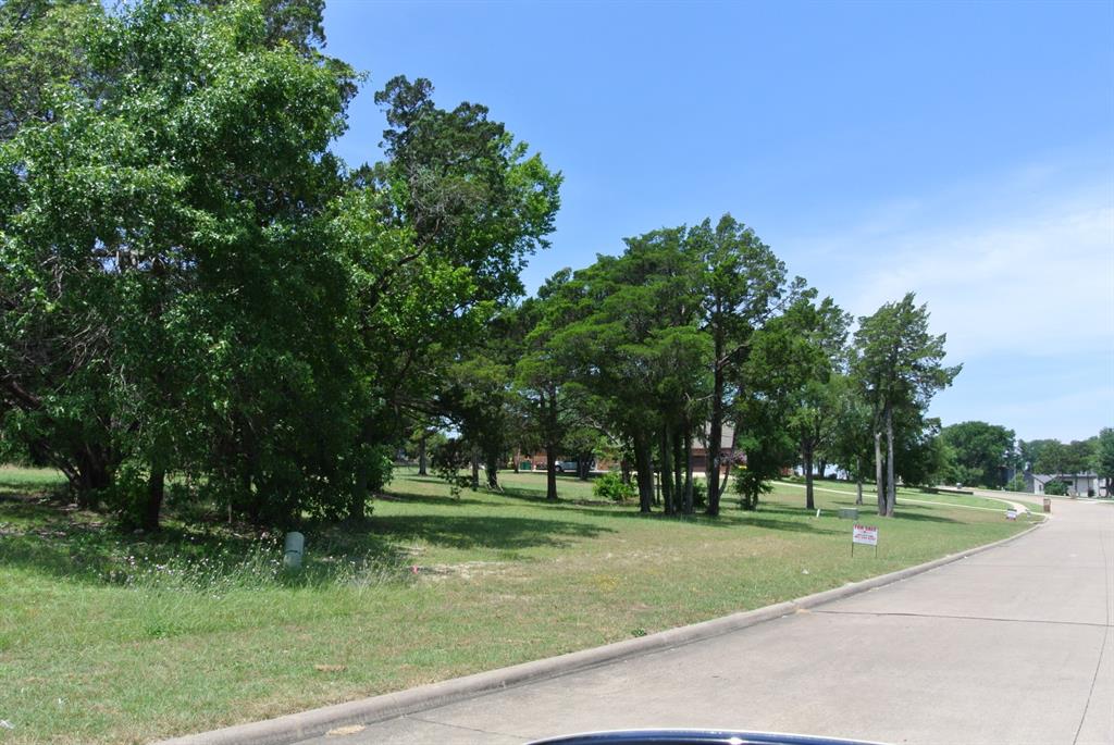 2024 Blue Ridge Drive Cedar Hill, TX 75104 - Photo 6 of 10