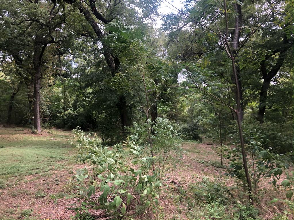 2024 Blue Ridge Drive Cedar Hill, TX 75104 - Photo 7 of 10