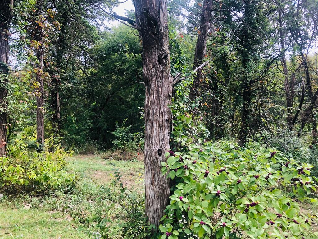 2024 Blue Ridge Drive Cedar Hill, TX 75104 - Photo 8 of 10