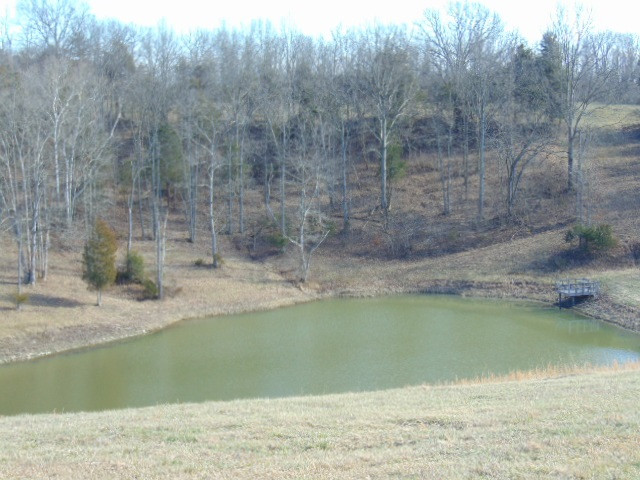 1355 Squiresville Road Owenton, KY 40359 - Photo 23 of 49 Photo 24
