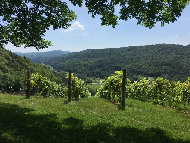 $2,600,000 | 1362 Barnard Road, Woodstock, VT 05091