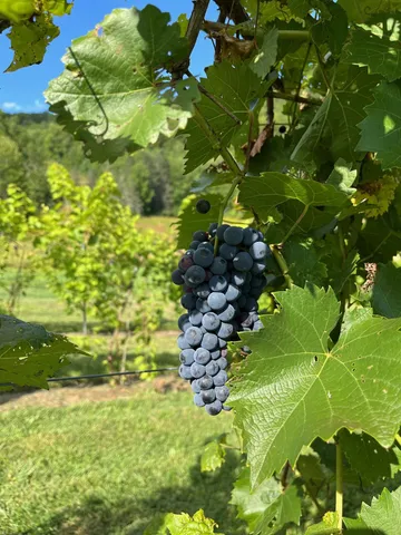 $2,600,000 | 1362 Barnard Road, Woodstock, VT 05091