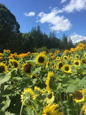 $2,600,000 | 1362 Barnard Road, Woodstock, VT 05091