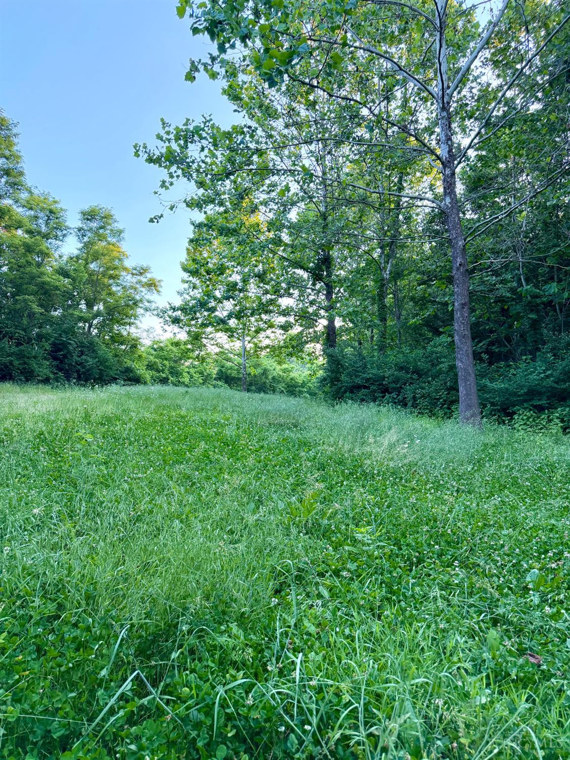 0 North Falls Road Bainbridge, OH 45612 - Photo 69 of 99