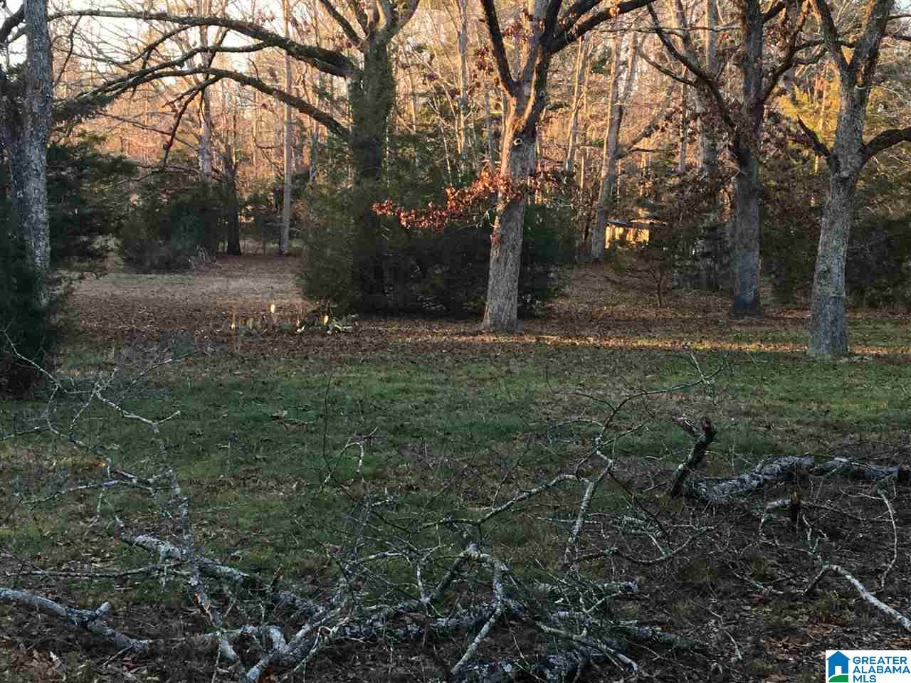 169 Saddle Club Road Jacksonville, AL 36265 - Photo 3 of 12